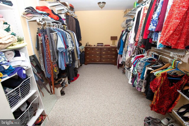 20 Eagle Ct, Gilbertsville, PA 19525 - spacious closet featuring carpet flooring