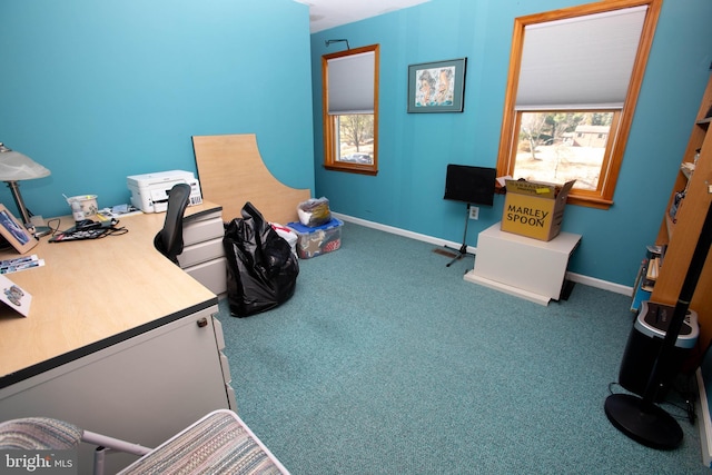 20 Eagle Ct, Gilbertsville, PA 19525 - carpeted office space featuring baseboards