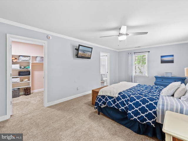 carpeted bedroom with a walk in closet, baseboards, and ornamental molding