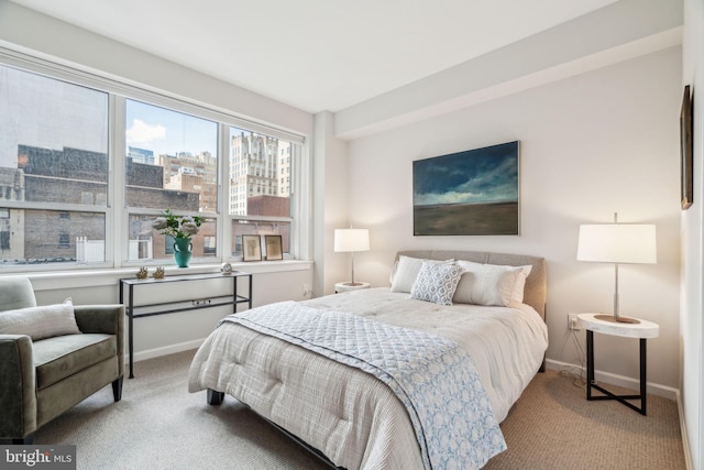1425 Locust St Unit 10C, Philadelphia, PA 19102 - carpeted bedroom featuring baseboards and a view of city