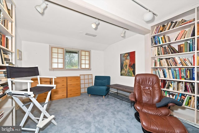 sitting room featuring carpet flooring and track lighting