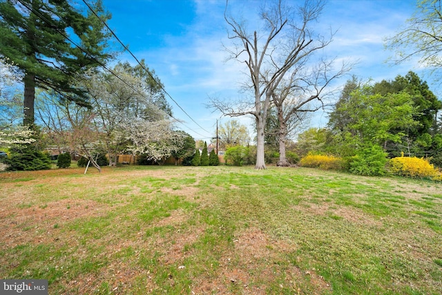 view of yard