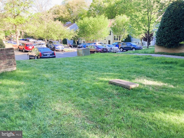 view of grassy yard