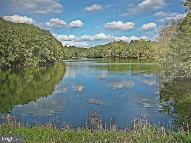 water view featuring a heavily wooded area