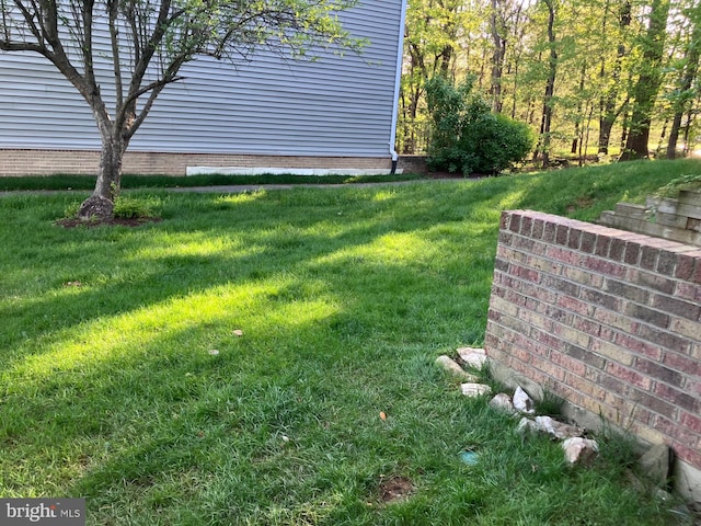 view of grassy yard