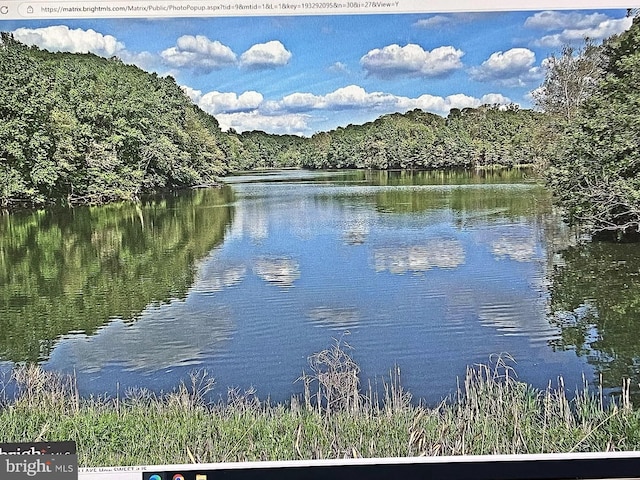 water view featuring a forest