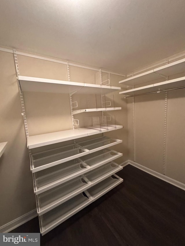 803 N Howard St Unit 435, Alexandria, VA 22304 - walk in closet featuring wood finished floors