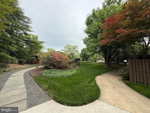 803 N Howard St Unit 435, Alexandria, VA 22304 - view of yard