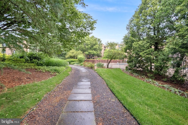 803 N Howard St Unit 435, Alexandria, VA 22304 - view of yard