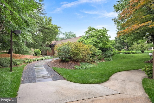 803 N Howard St Unit 435, Alexandria, VA 22304 - view of green lawn