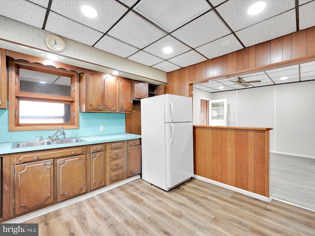 kitchen with light wood-style flooring, a sink, freestanding refrigerator, ceiling fan, and light countertops