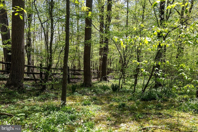 7185 Rivers Edge Rd, Columbia, MD 21044 - view of local wilderness featuring a view of trees