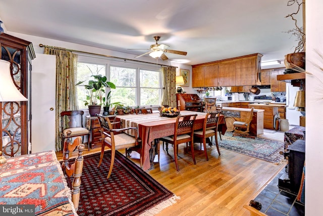 dining space with ceiling fan and light wood-style floors