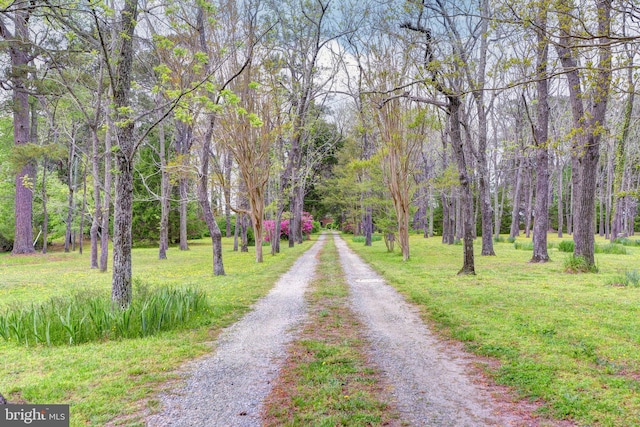 view of street with a forest view