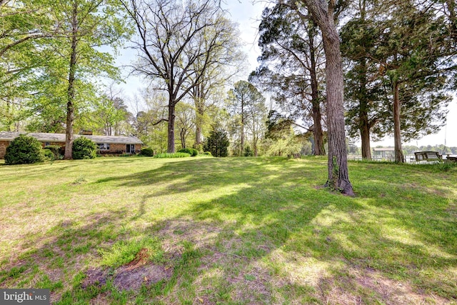 view of yard
