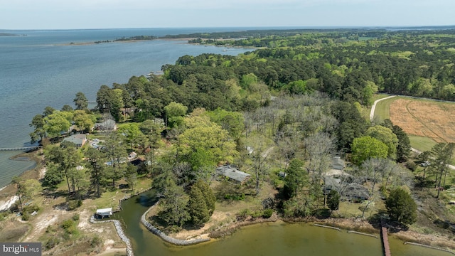 bird's eye view with a view of trees and a water view