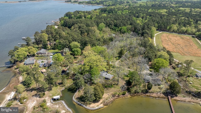 birds eye view of property with a forest view and a water view