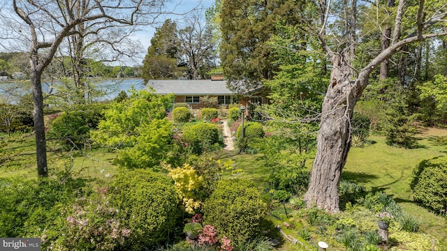 view of yard featuring a water view