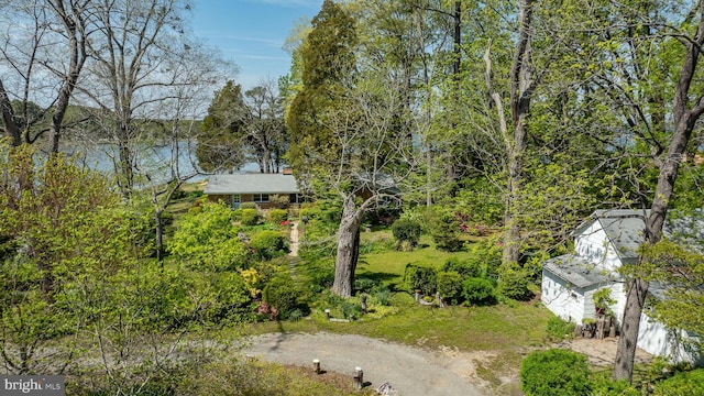 view of yard with driveway and a water view