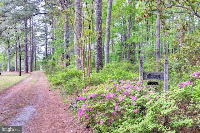 view of property's community with a view of trees