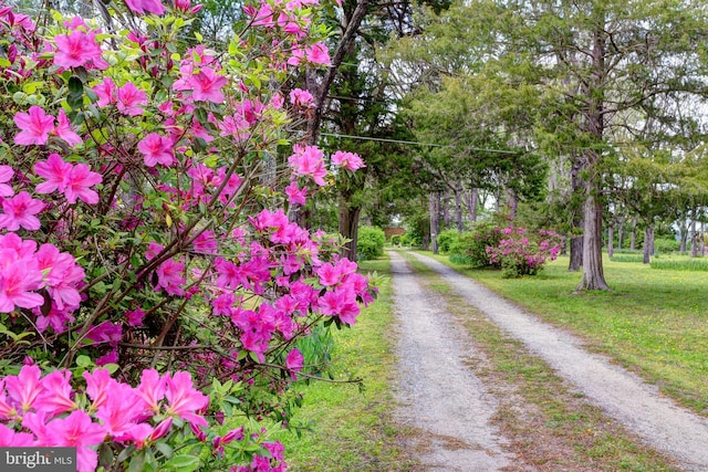 view of property's community with driveway