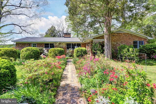ranch-style house featuring a chimney and brick siding