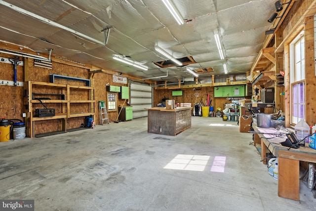 30602 Sandy Landing Rd, Dagsboro, DE 19939 - garage with a workshop area