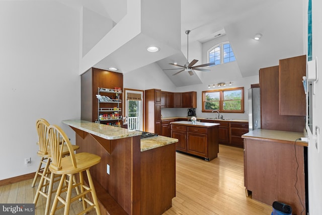 30602 Sandy Landing Rd, Dagsboro, DE 19939 - kitchen featuring a ceiling fan, light wood-type flooring, a sink, high vaulted ceiling, and a peninsula