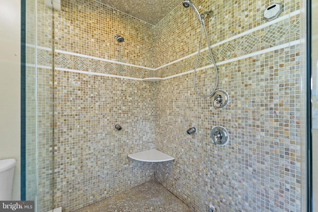 30602 Sandy Landing Rd, Dagsboro, DE 19939 - full bath with toilet and tiled shower