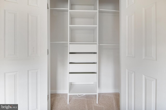 15916 Aerial View Rd, Woodbridge, VA 22193 - view of closet