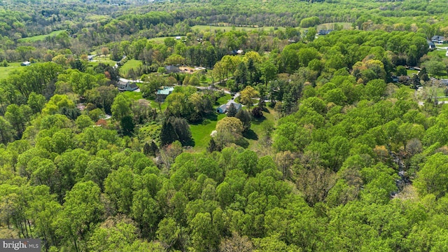 bird's eye view with a forest view