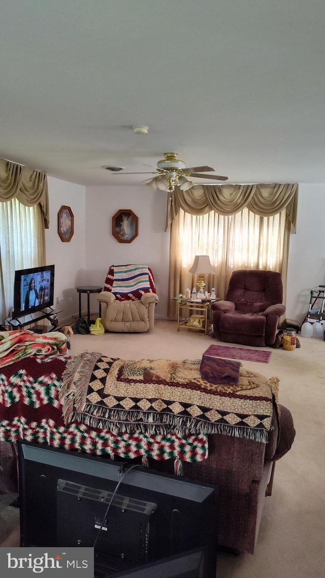 carpeted bedroom with multiple windows