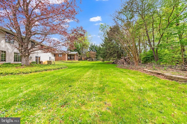 view of yard