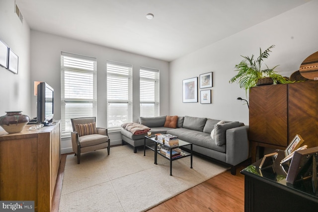 12500 Park Potomac Ave Unit 905South, Potomac, MD 20854 - living room with light wood-style flooring