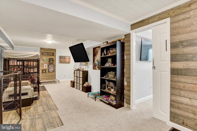 interior space featuring wood walls, baseboards, carpet flooring, and ornamental molding