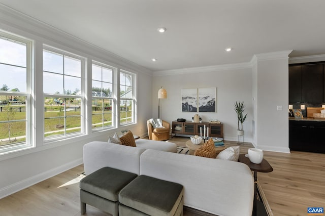 43 Farrow Cir, Charlottesville, VA 22901 - living room featuring plenty of natural light, crown molding, and baseboards