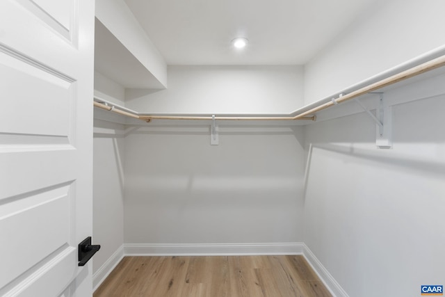 43 Farrow Cir, Charlottesville, VA 22901 - spacious closet with light wood finished floors