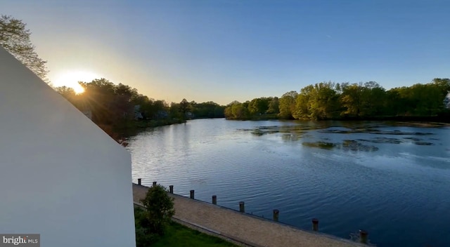 10323 Wilde Lake Ter, Columbia, MD 21044 - water view with a dock and a heavily wooded area