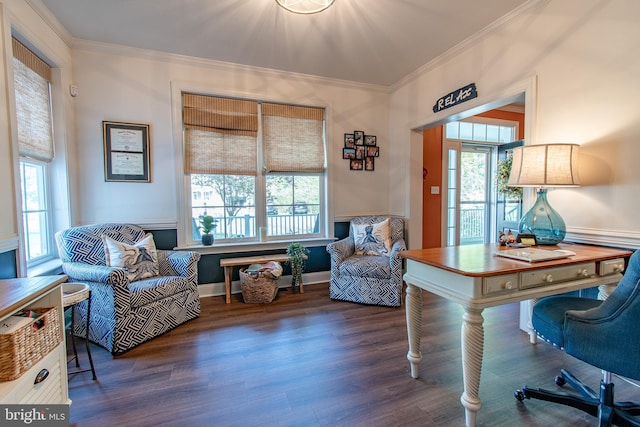 office space featuring crown molding, wood finished floors, and a wealth of natural light