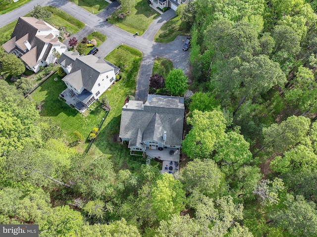 bird's eye view