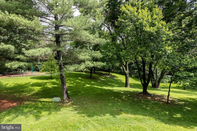 19320 Liberty Heights Ln, Germantown, MD 20874 - view of grassy yard