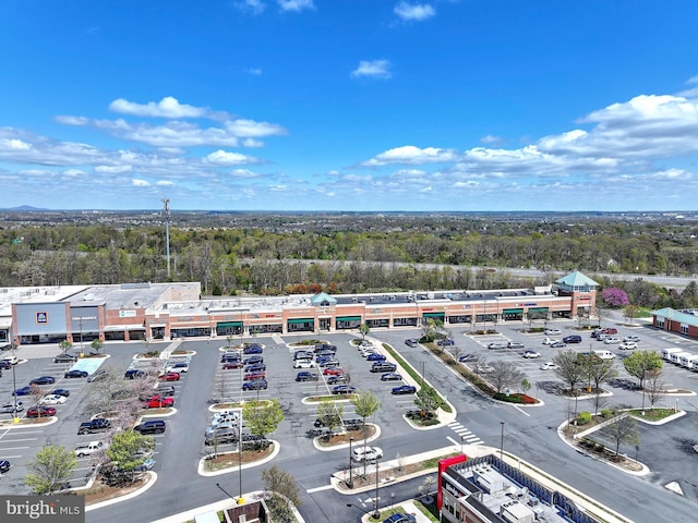 43295 Ardmore St, Ashburn, VA 20147 - bird's eye view