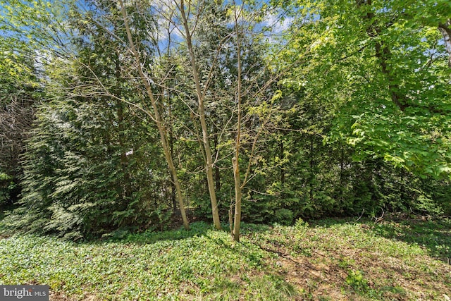 view of landscape with a forest view