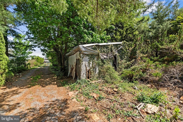 view of yard with an outdoor structure and a storage shed