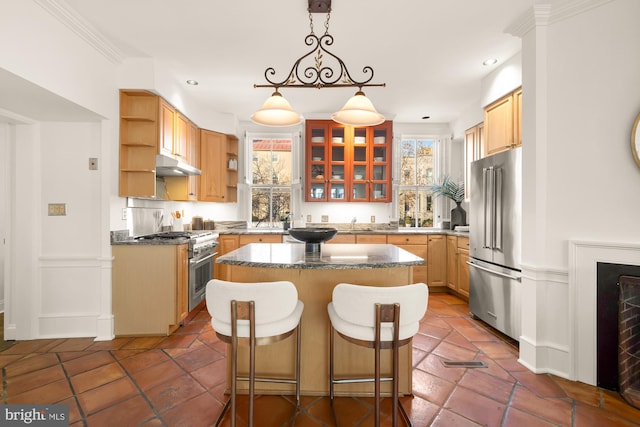 700 6th St SE, Washington, DC 20003 - kitchen with open shelves, high quality appliances, glass insert cabinets, under cabinet range hood, and a kitchen island