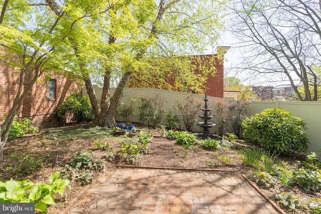 700 6th St SE, Washington, DC 20003 - view of yard with a fenced backyard and a patio