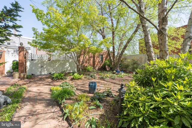 700 6th St SE, Washington, DC 20003 - view of yard featuring a gate and fence