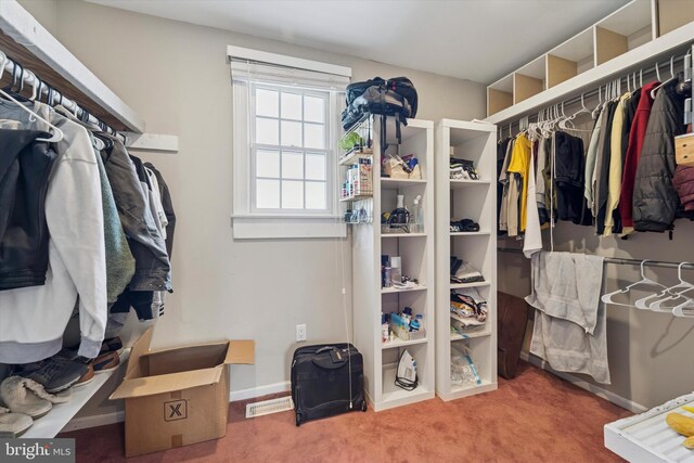 walk in closet featuring carpet floors