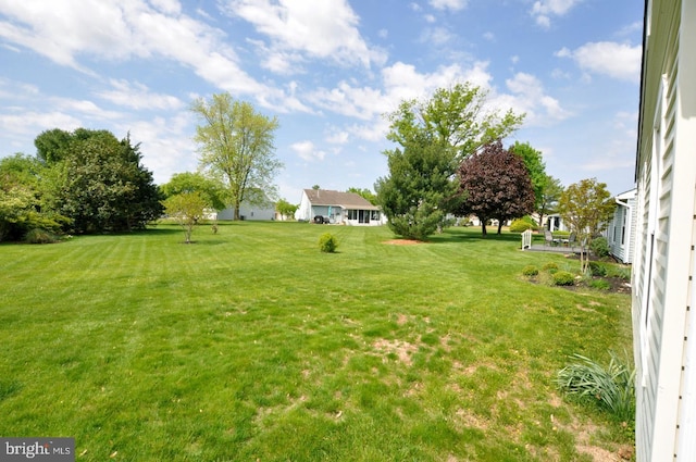 view of yard