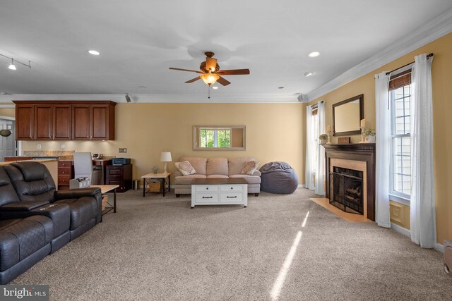 19009 Old Baltimore Rd, Brookeville, MD 20833 - living area with crown molding, ceiling fan, light carpet, and a fireplace with flush hearth